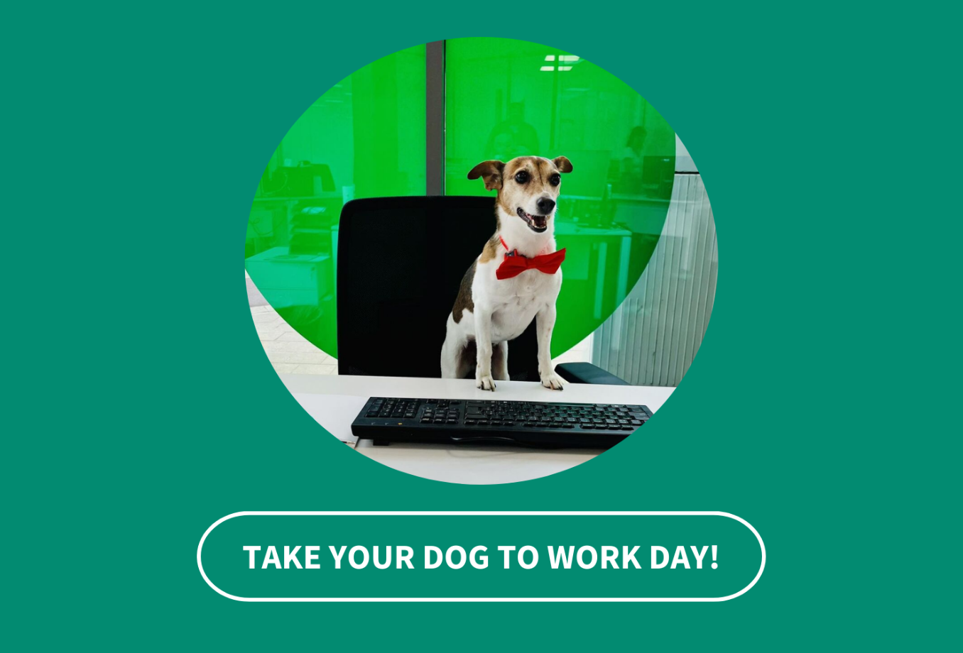 Take your dog to work day 8