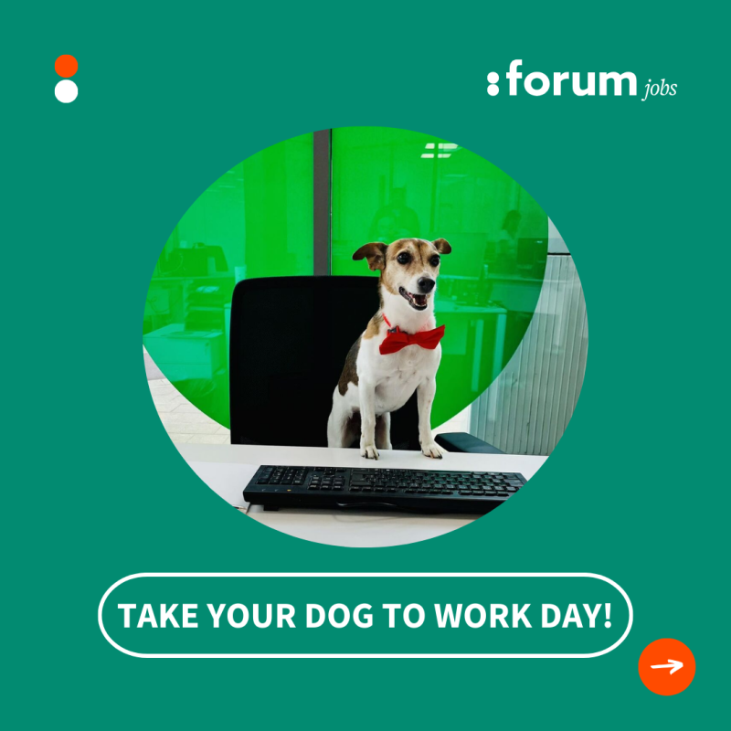 Take your dog to work day 3